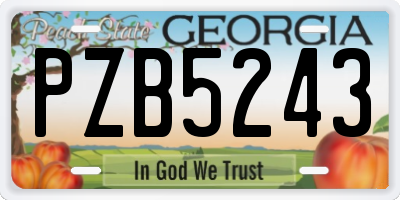 GA license plate PZB5243