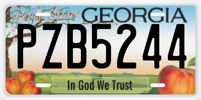 GA license plate PZB5244