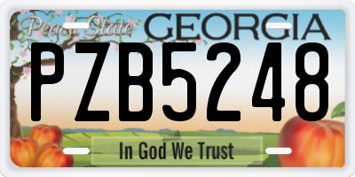 GA license plate PZB5248