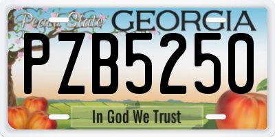 GA license plate PZB5250