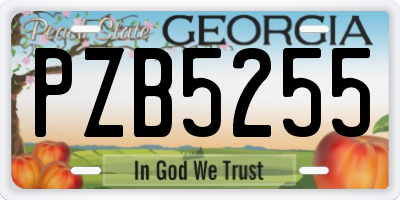 GA license plate PZB5255