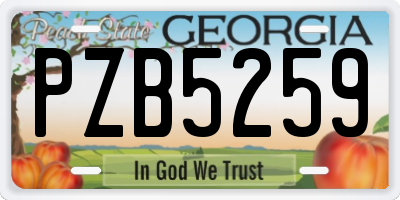 GA license plate PZB5259