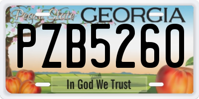 GA license plate PZB5260
