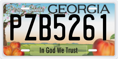 GA license plate PZB5261