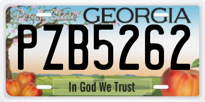 GA license plate PZB5262