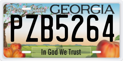 GA license plate PZB5264