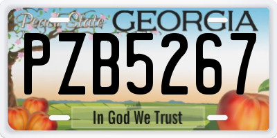 GA license plate PZB5267