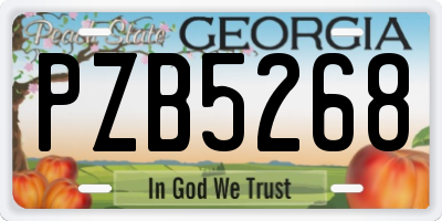 GA license plate PZB5268