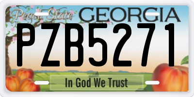 GA license plate PZB5271