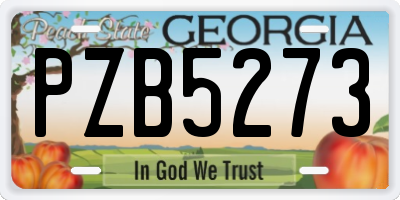 GA license plate PZB5273