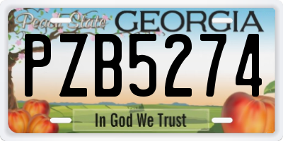 GA license plate PZB5274