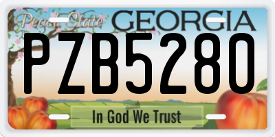 GA license plate PZB5280