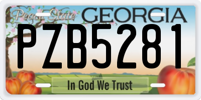 GA license plate PZB5281