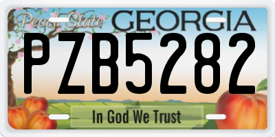 GA license plate PZB5282
