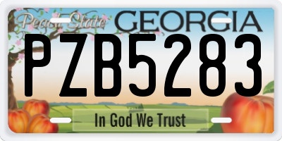 GA license plate PZB5283