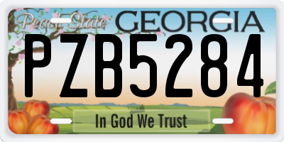 GA license plate PZB5284