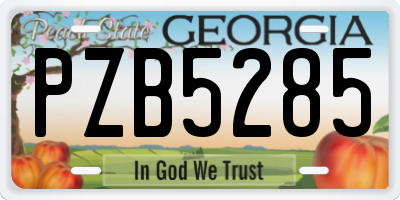 GA license plate PZB5285