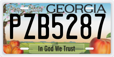 GA license plate PZB5287