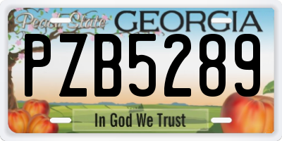 GA license plate PZB5289