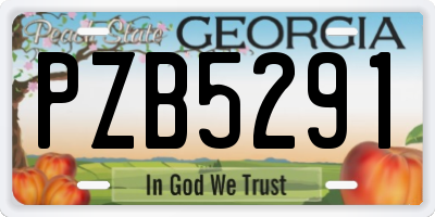 GA license plate PZB5291