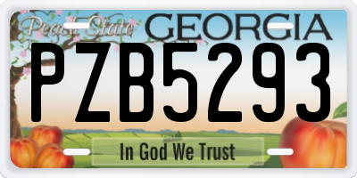 GA license plate PZB5293