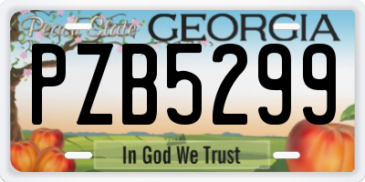 GA license plate PZB5299