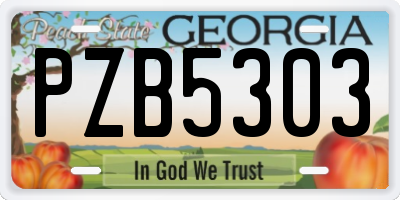 GA license plate PZB5303