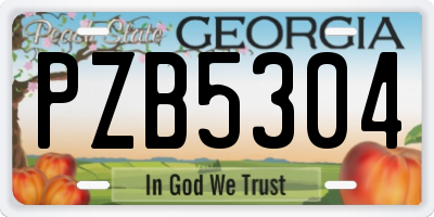 GA license plate PZB5304