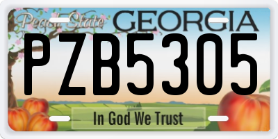 GA license plate PZB5305