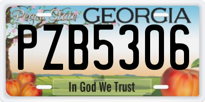 GA license plate PZB5306