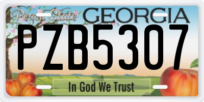 GA license plate PZB5307