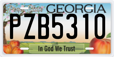 GA license plate PZB5310