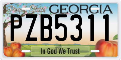 GA license plate PZB5311