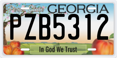 GA license plate PZB5312