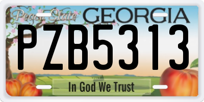 GA license plate PZB5313