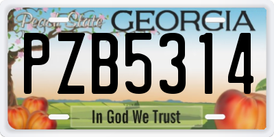 GA license plate PZB5314