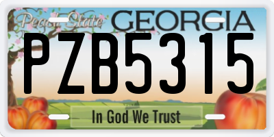 GA license plate PZB5315