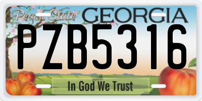 GA license plate PZB5316