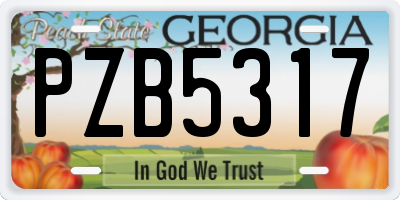 GA license plate PZB5317