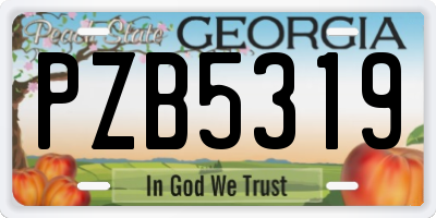 GA license plate PZB5319