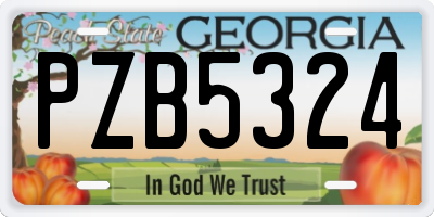 GA license plate PZB5324