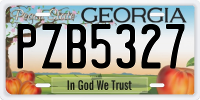 GA license plate PZB5327