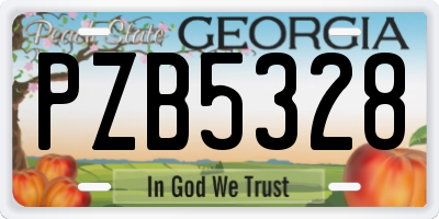 GA license plate PZB5328