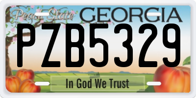 GA license plate PZB5329