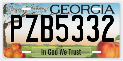 GA license plate PZB5332