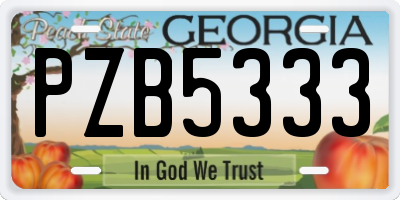 GA license plate PZB5333