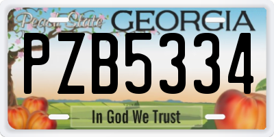 GA license plate PZB5334