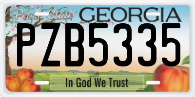 GA license plate PZB5335