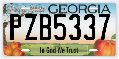 GA license plate PZB5337