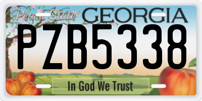 GA license plate PZB5338